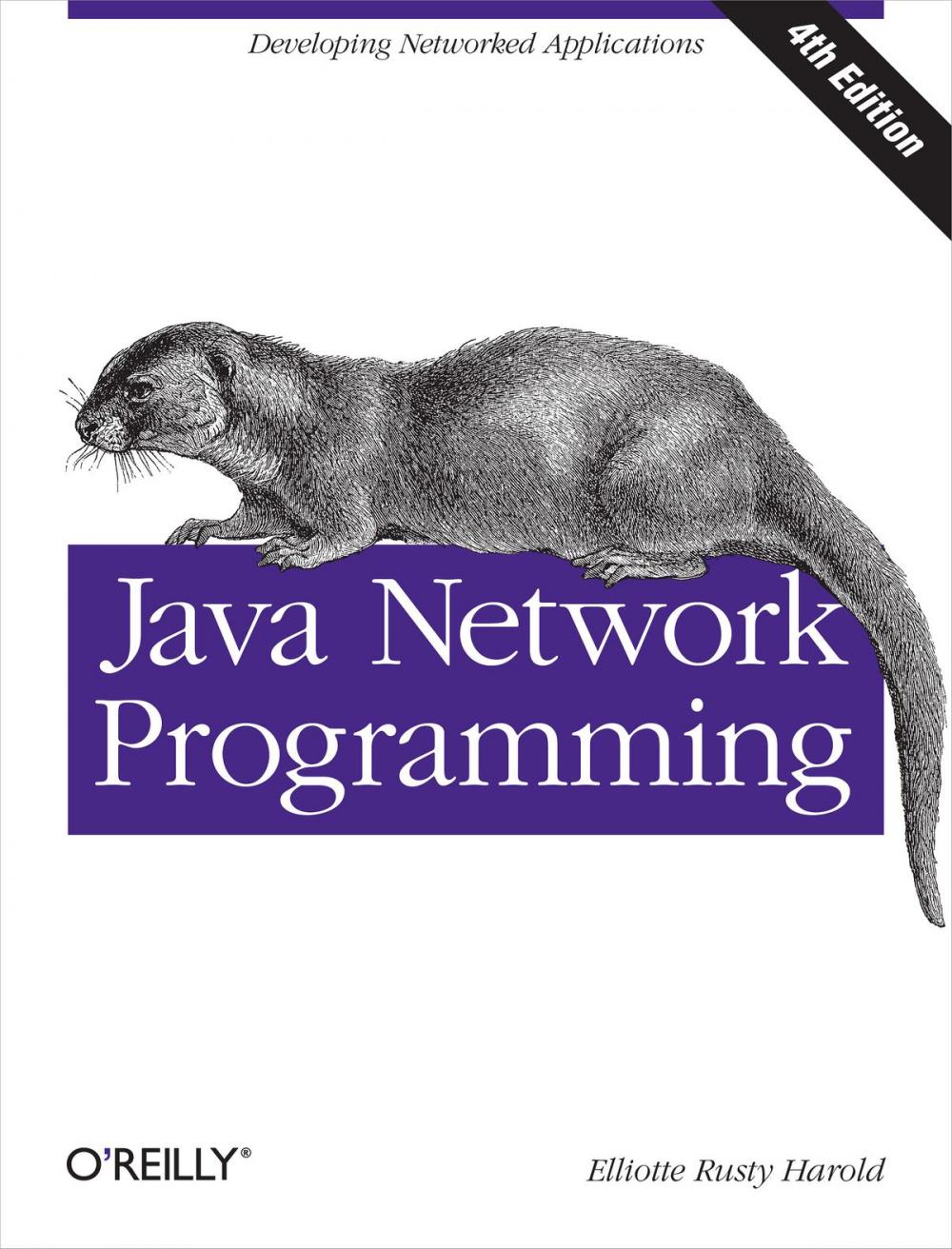 Big bigCover of Java Network Programming