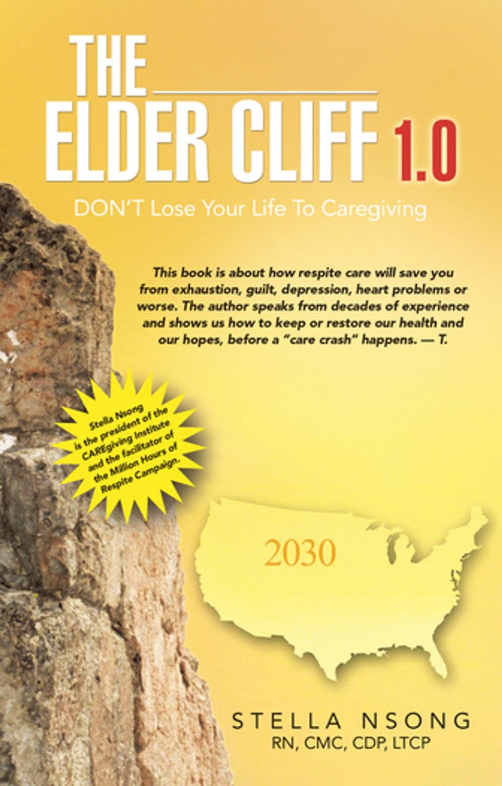 Big bigCover of The Elder Care Cliff 1.0