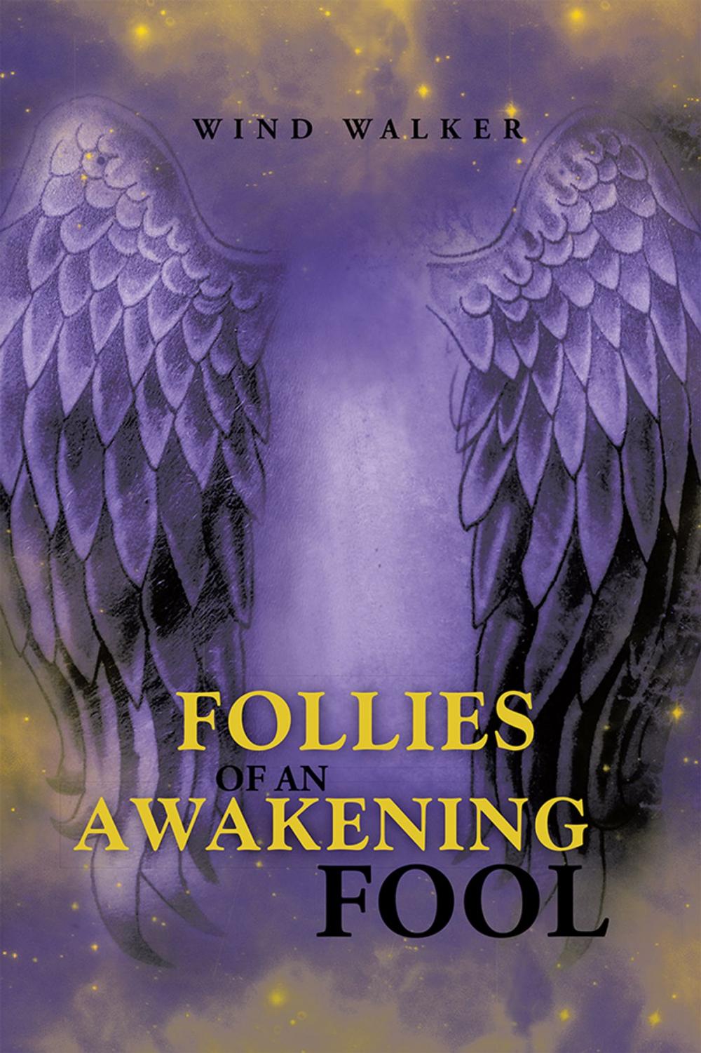 Big bigCover of Follies of an Awakening Fool