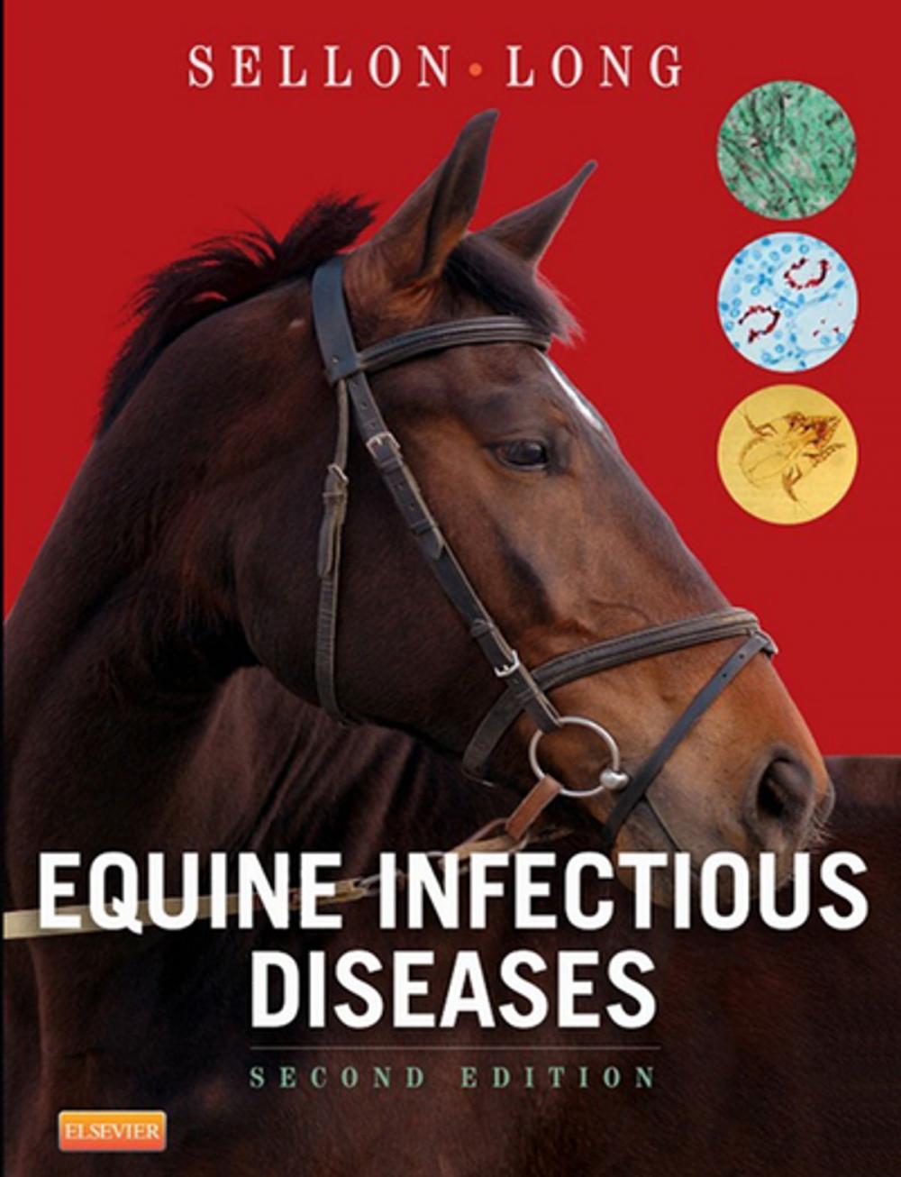 Big bigCover of Equine Infectious Diseases E-Book