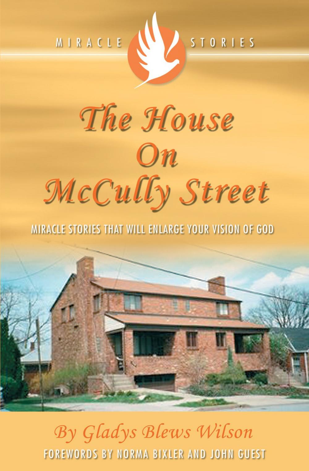 Big bigCover of The House on McCully Street