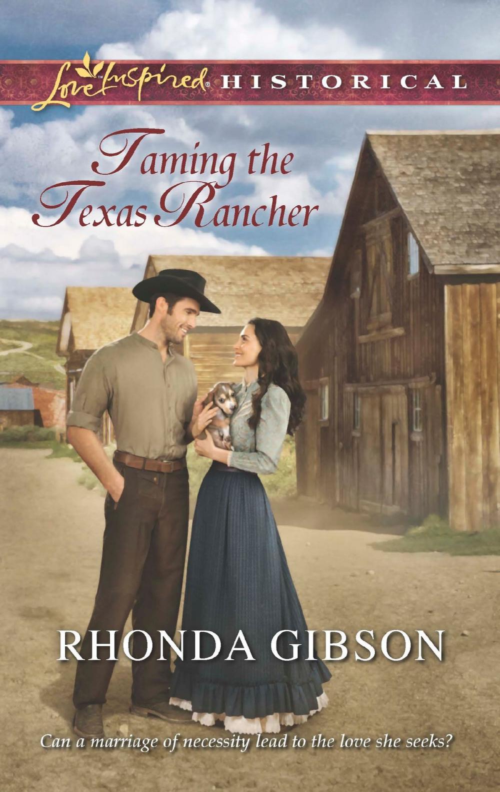 Big bigCover of Taming the Texas Rancher