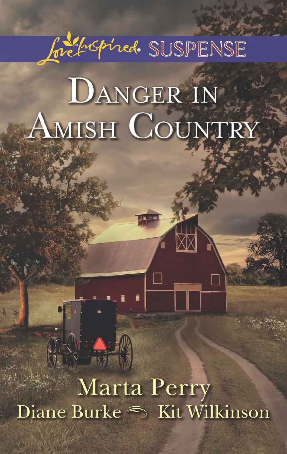 Big bigCover of Danger in Amish Country