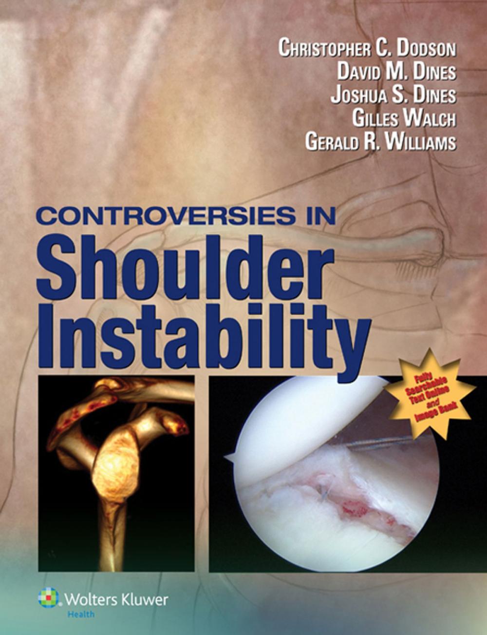 Big bigCover of Controversies in Shoulder Instability