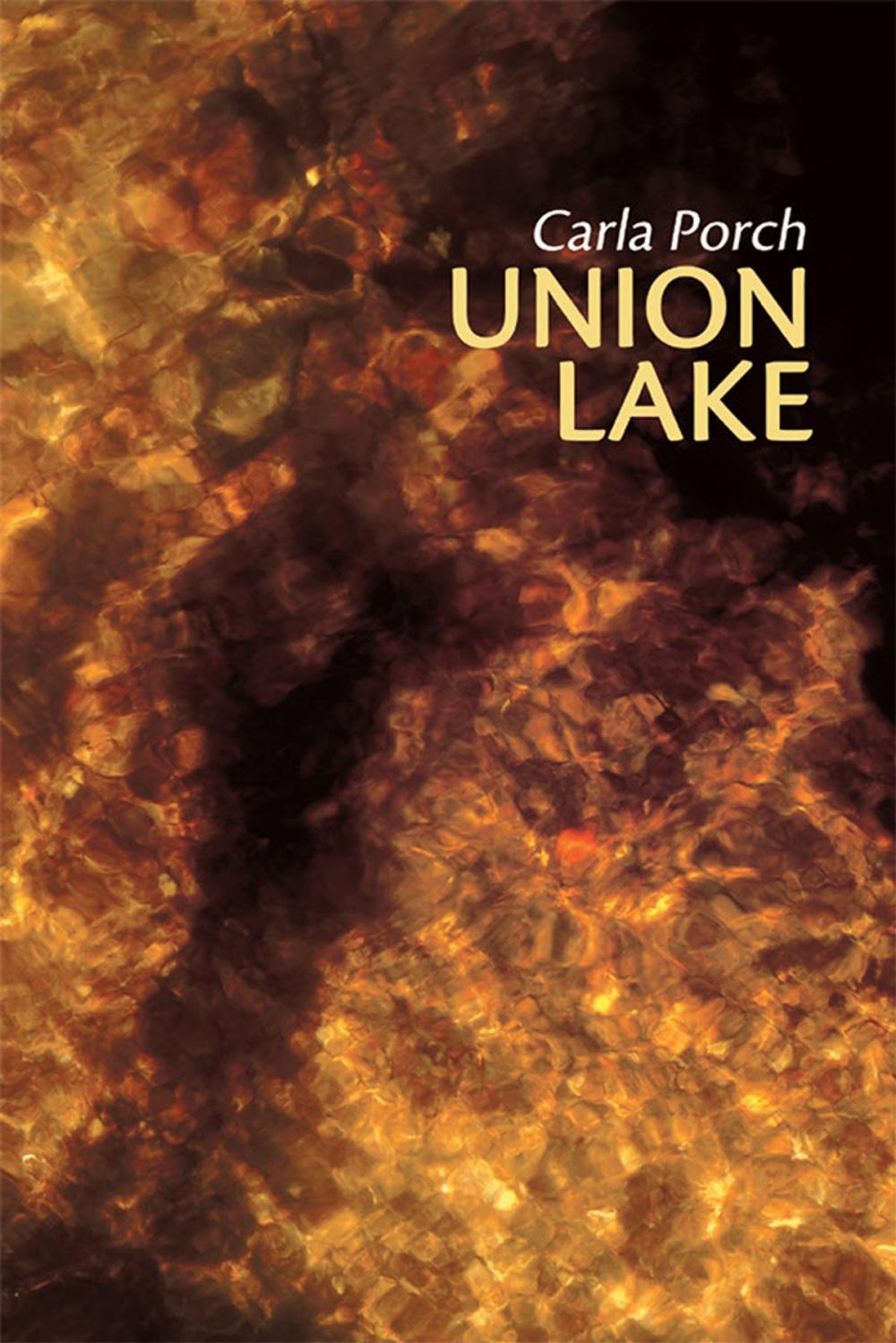 Big bigCover of Union Lake