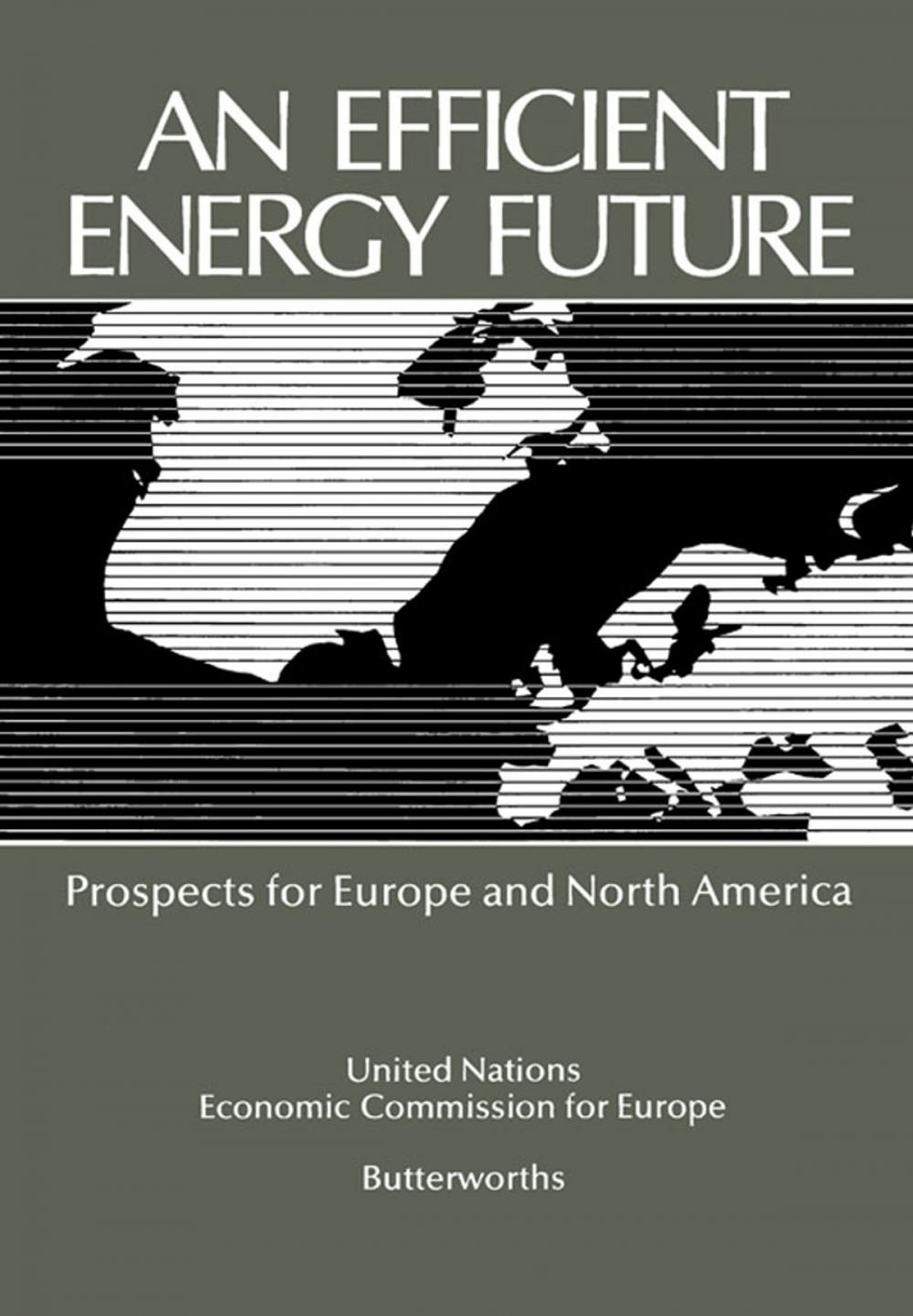 Big bigCover of An Efficient Energy Future