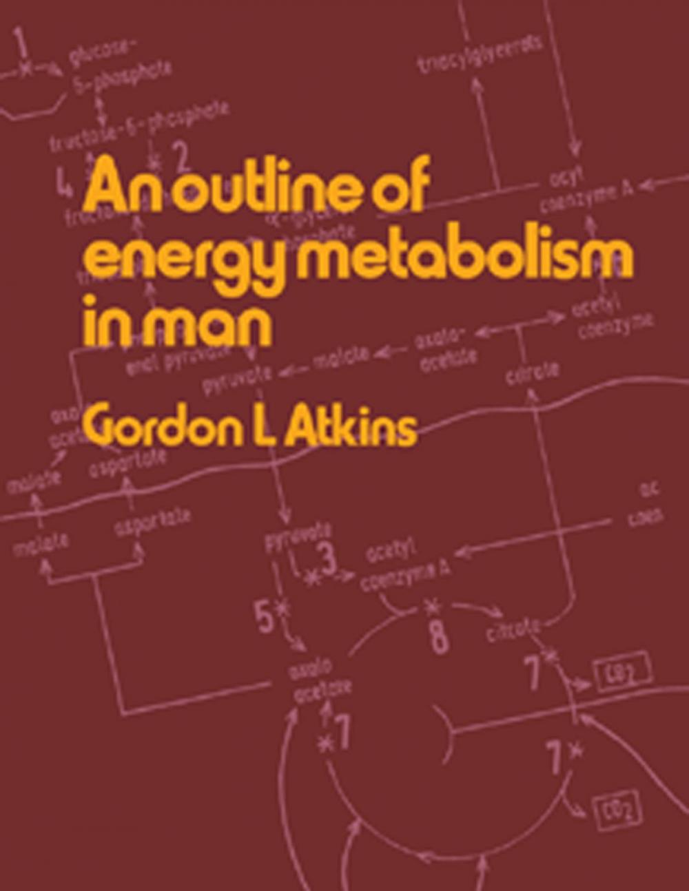 Big bigCover of An Outline of Energy Metabolism in Man