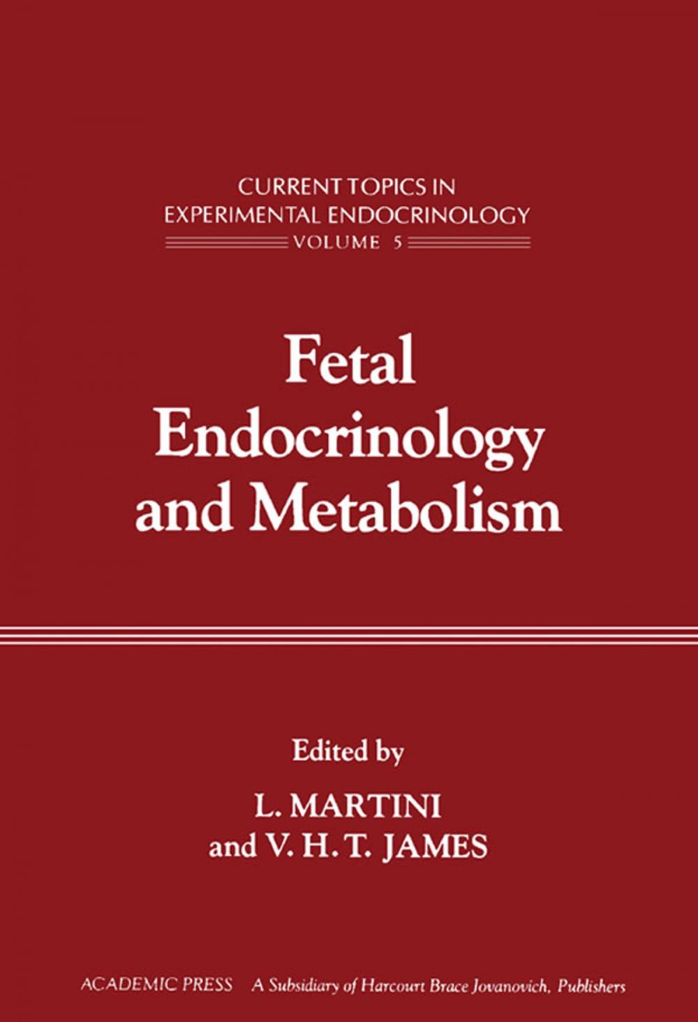 Big bigCover of Fetal Endocrinology and Metabolism