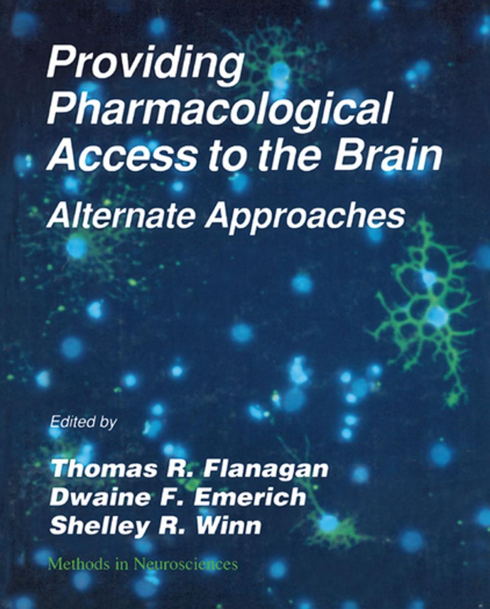 Big bigCover of Providing Pharmacological Access to the Brain