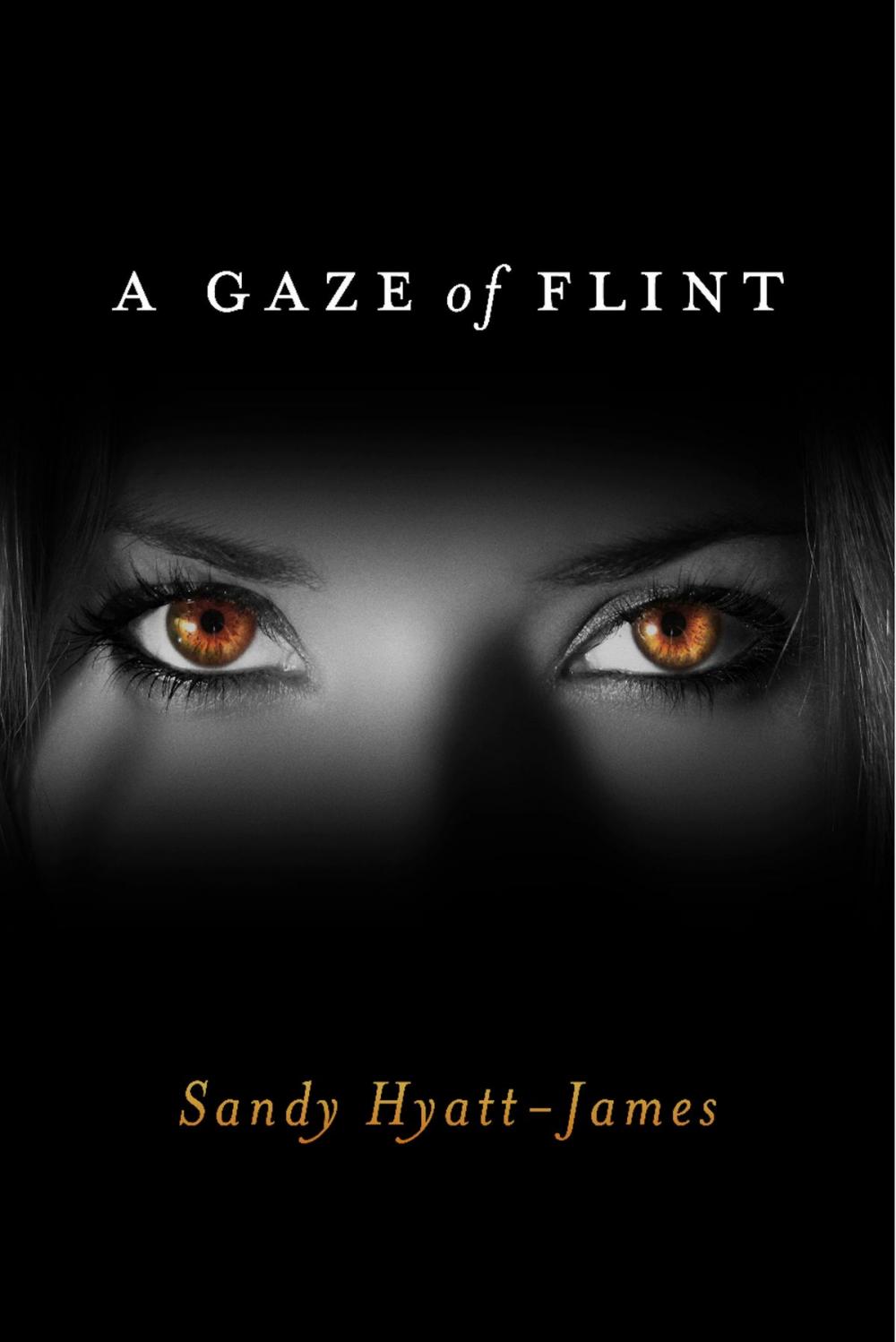 Big bigCover of A Gaze Of Flint