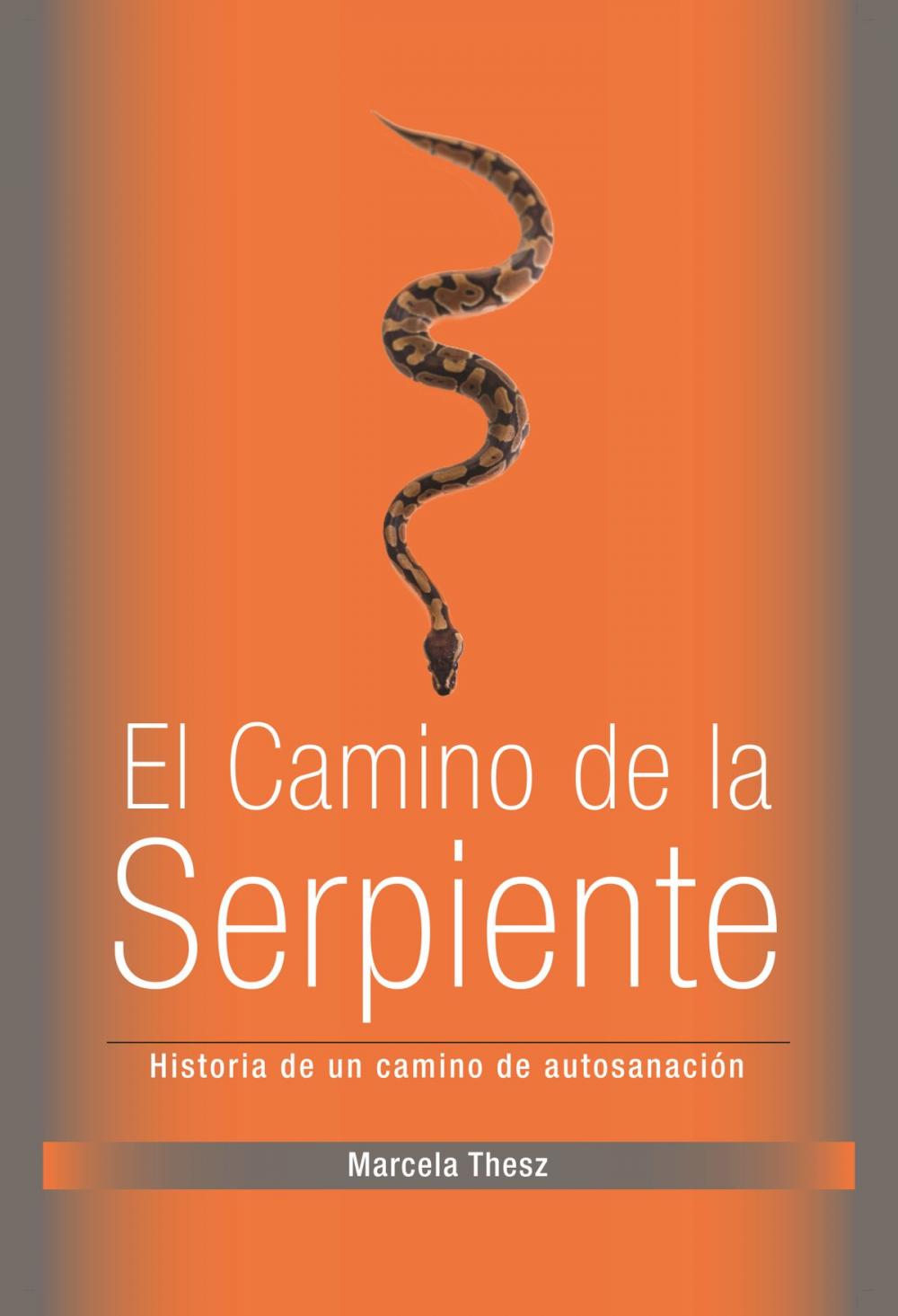 Big bigCover of El Camino de la Serpiente