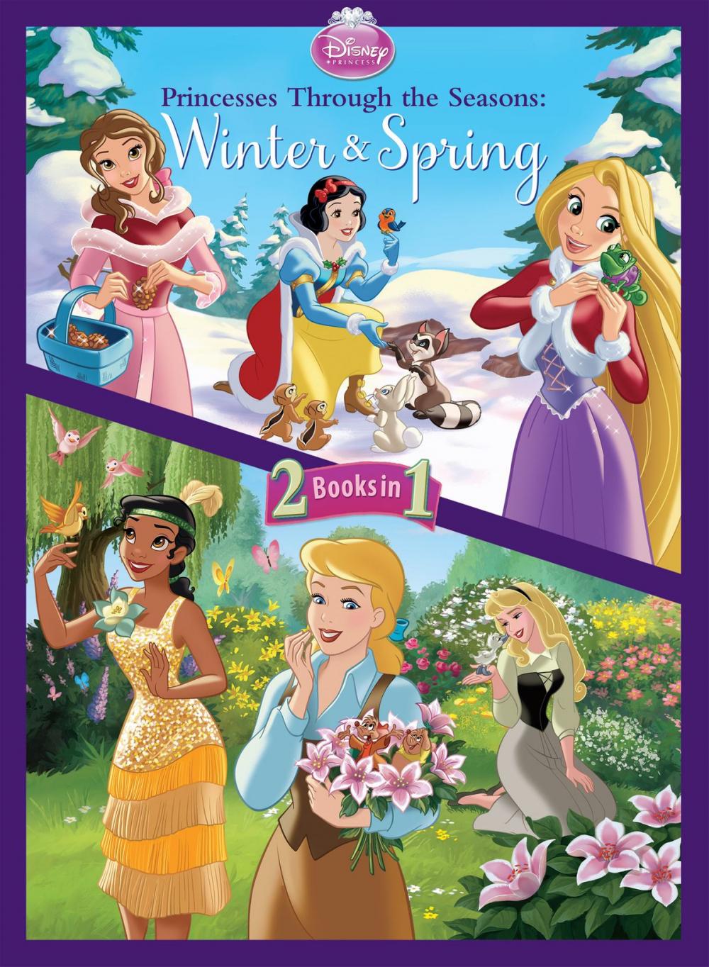 Big bigCover of Disney Princess: Princesses Through the Seasons