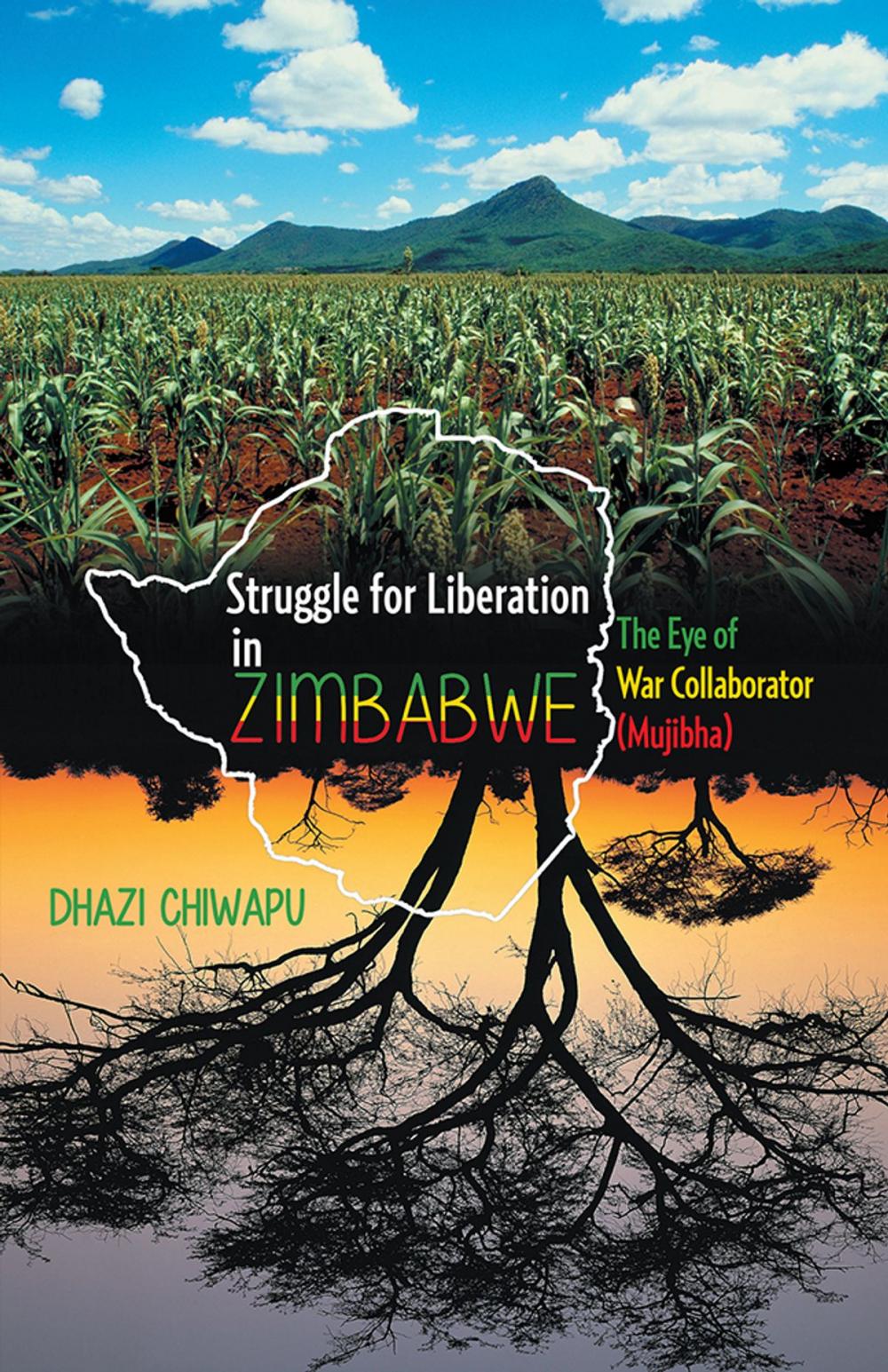 Big bigCover of Struggle for Liberation in Zimbabwe