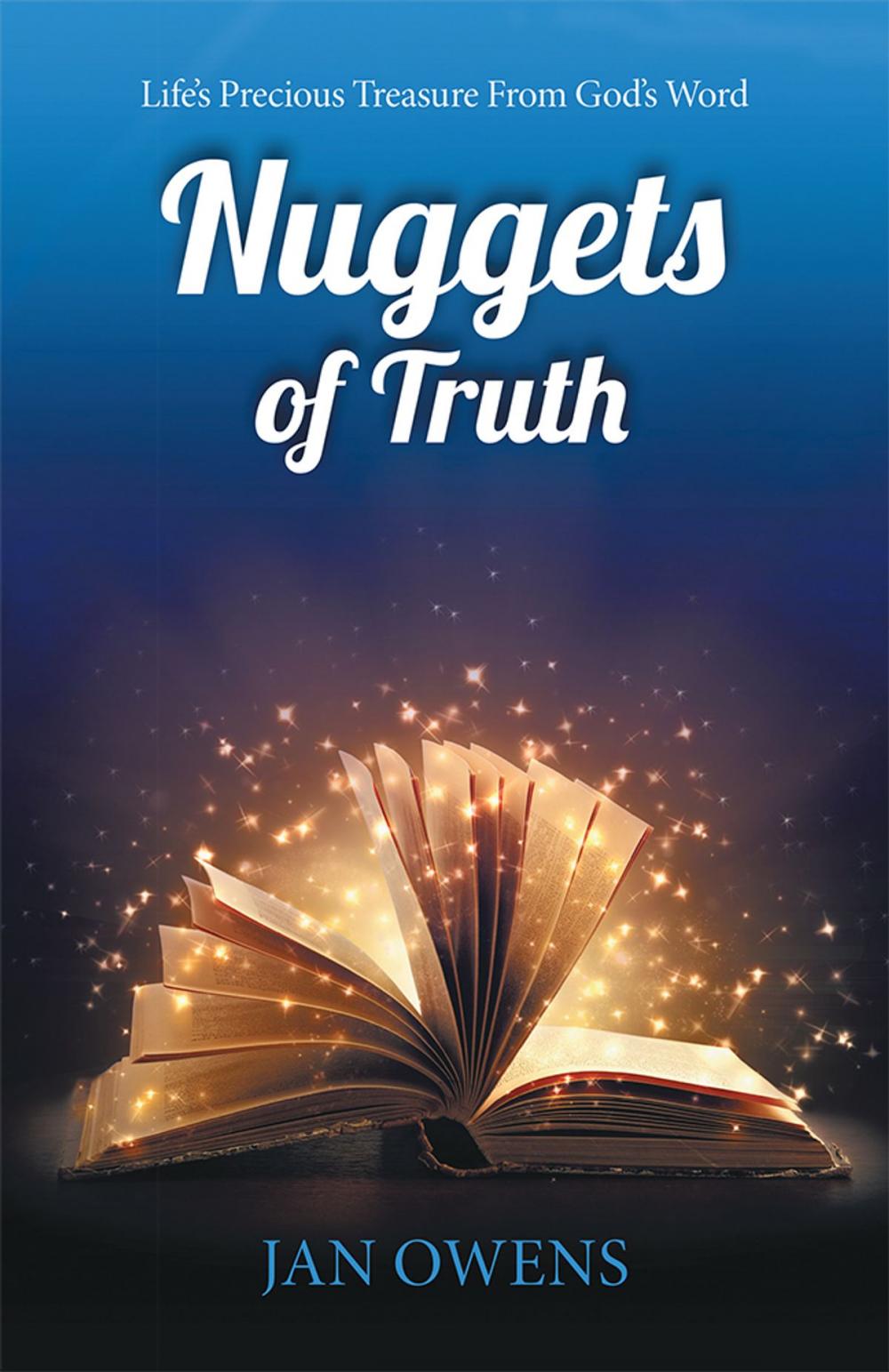 Big bigCover of Nuggets of Truth