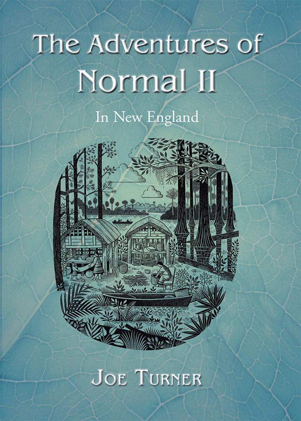 Big bigCover of The Adventures of Normal Ii