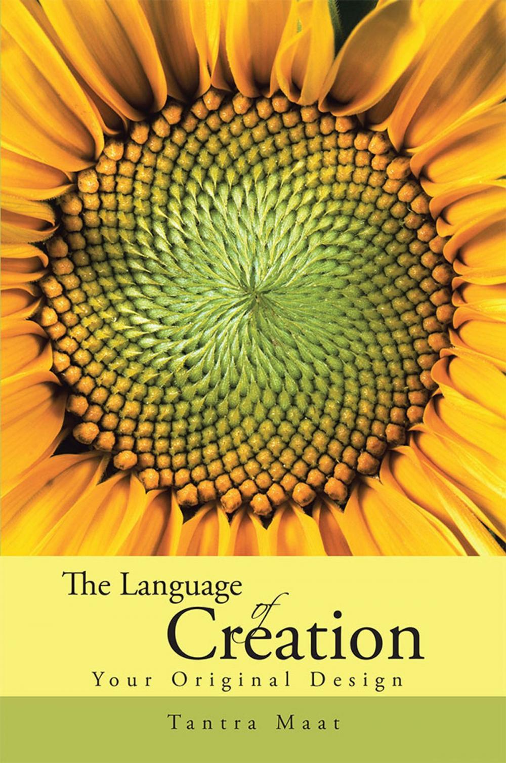 Big bigCover of The Language of Creation.