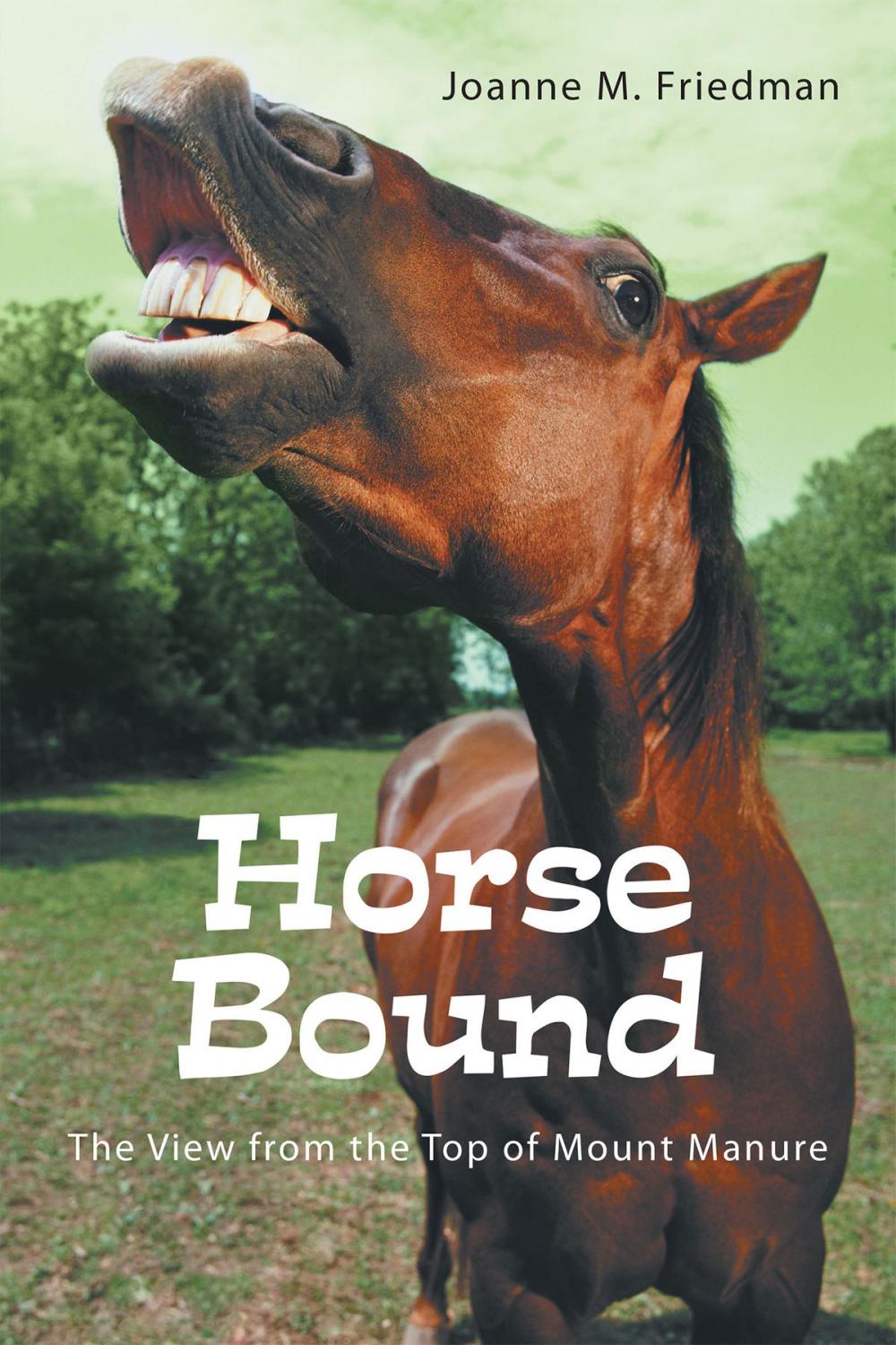 Big bigCover of Horse Bound