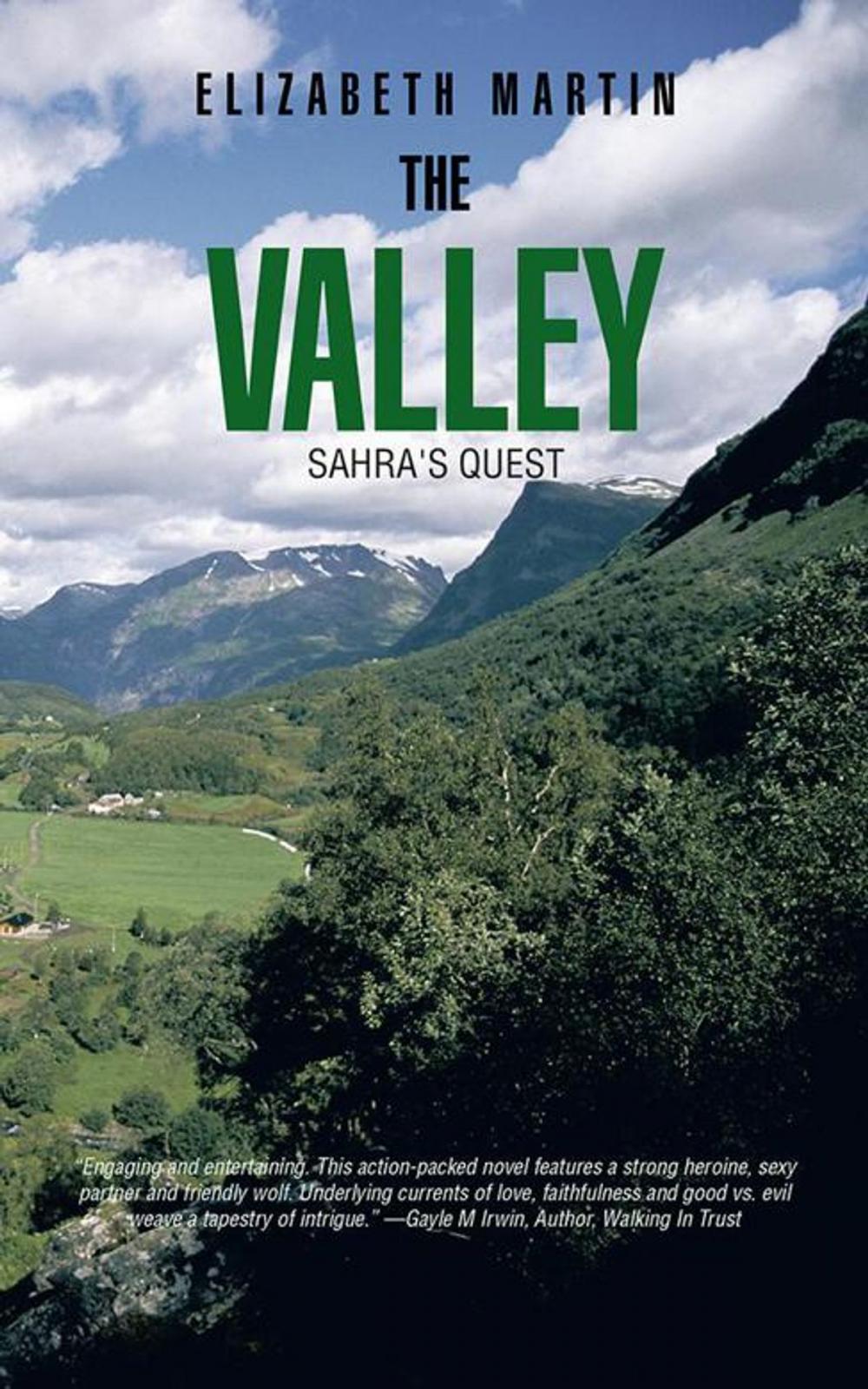 Big bigCover of The Valley