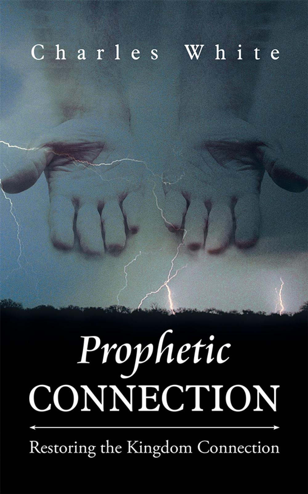 Big bigCover of Prophetic Connection