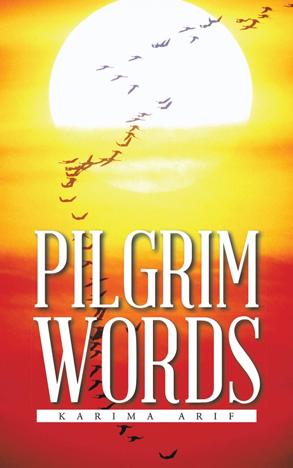 Big bigCover of Pilgrim Words