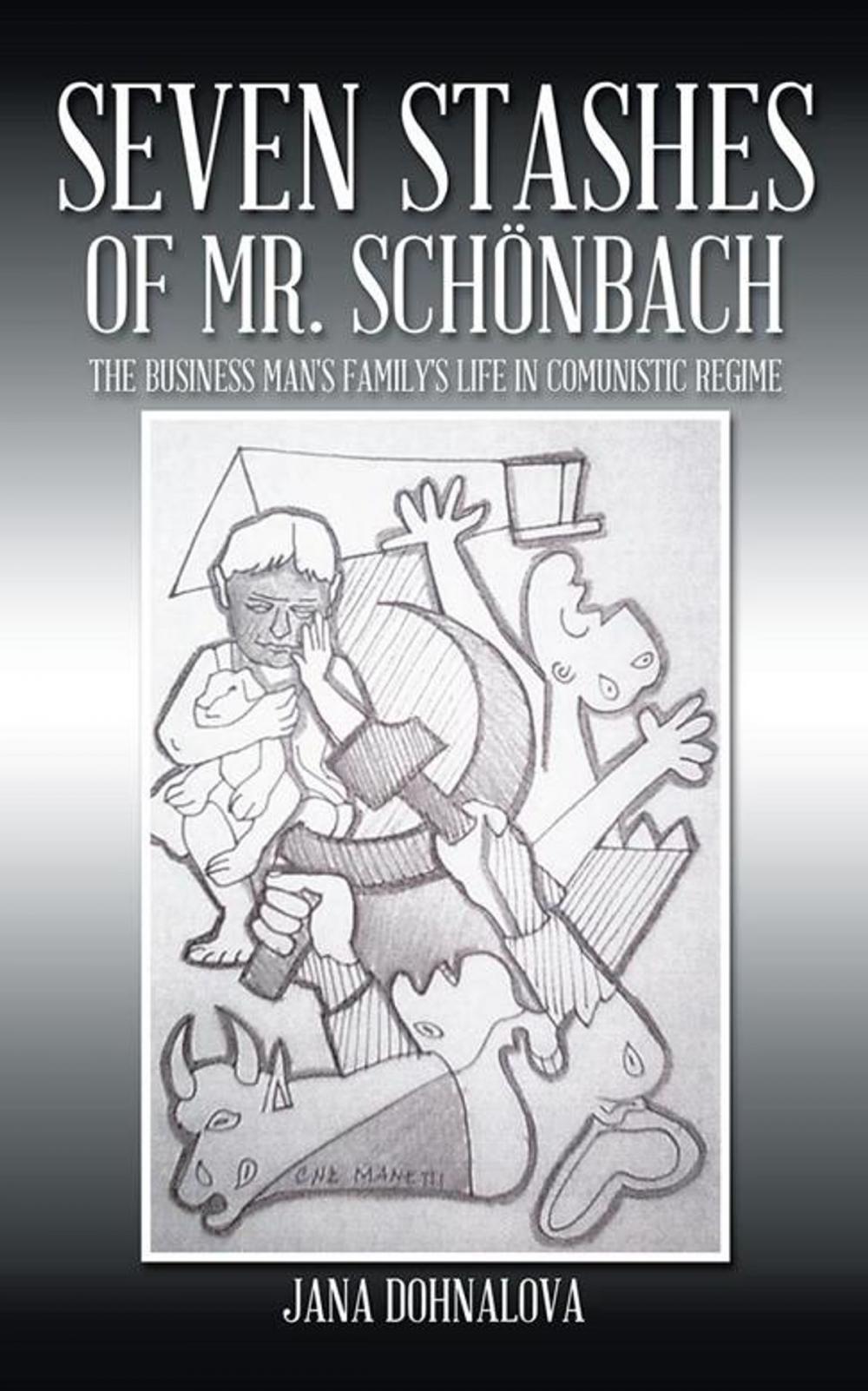 Big bigCover of Seven Stashes of Mr. Schönbach