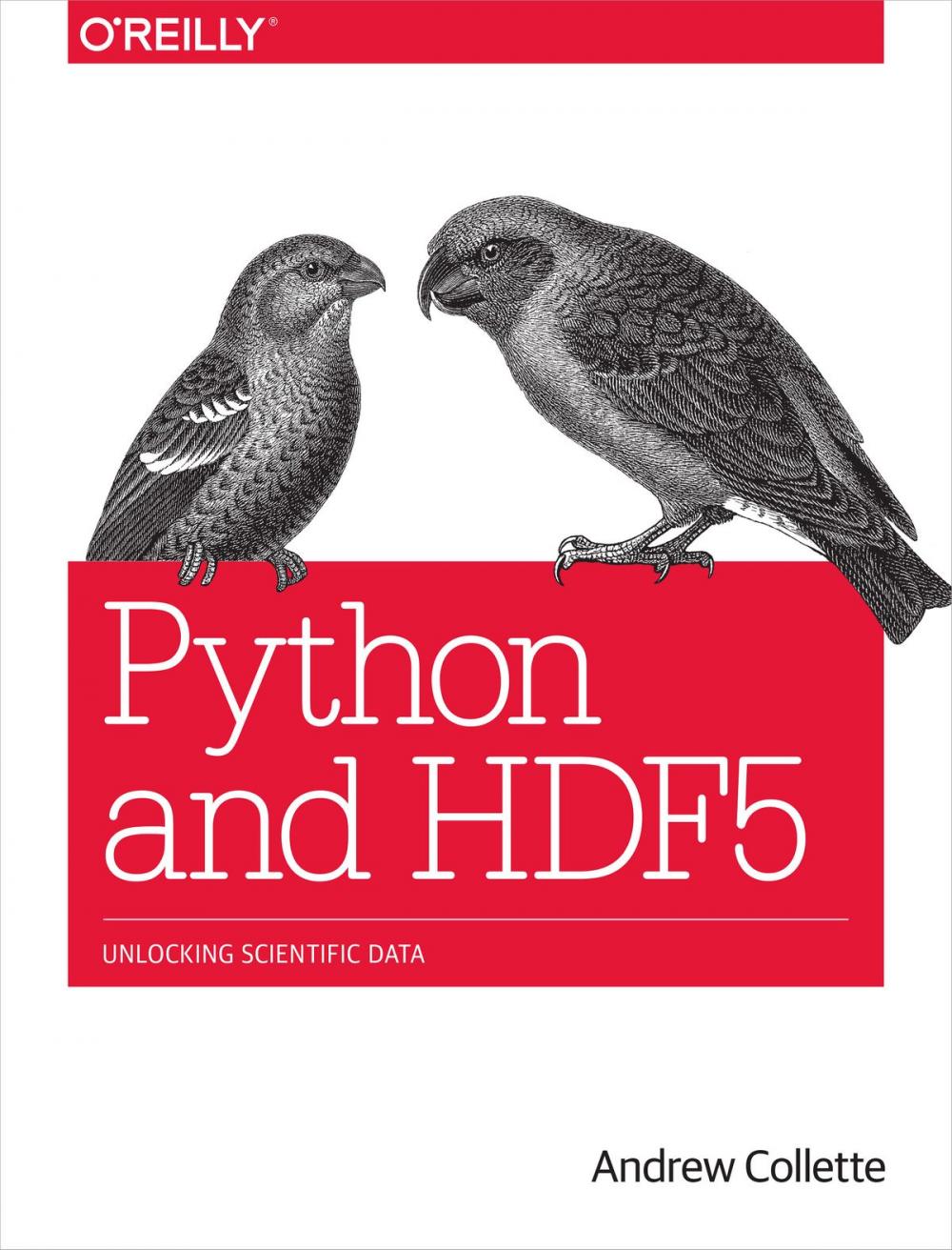 Big bigCover of Python and HDF5