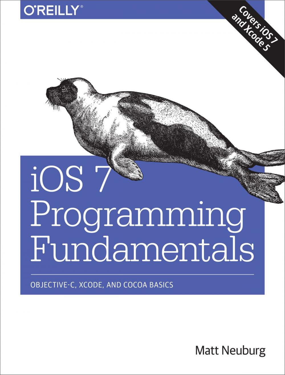 Big bigCover of iOS 7 Programming Fundamentals