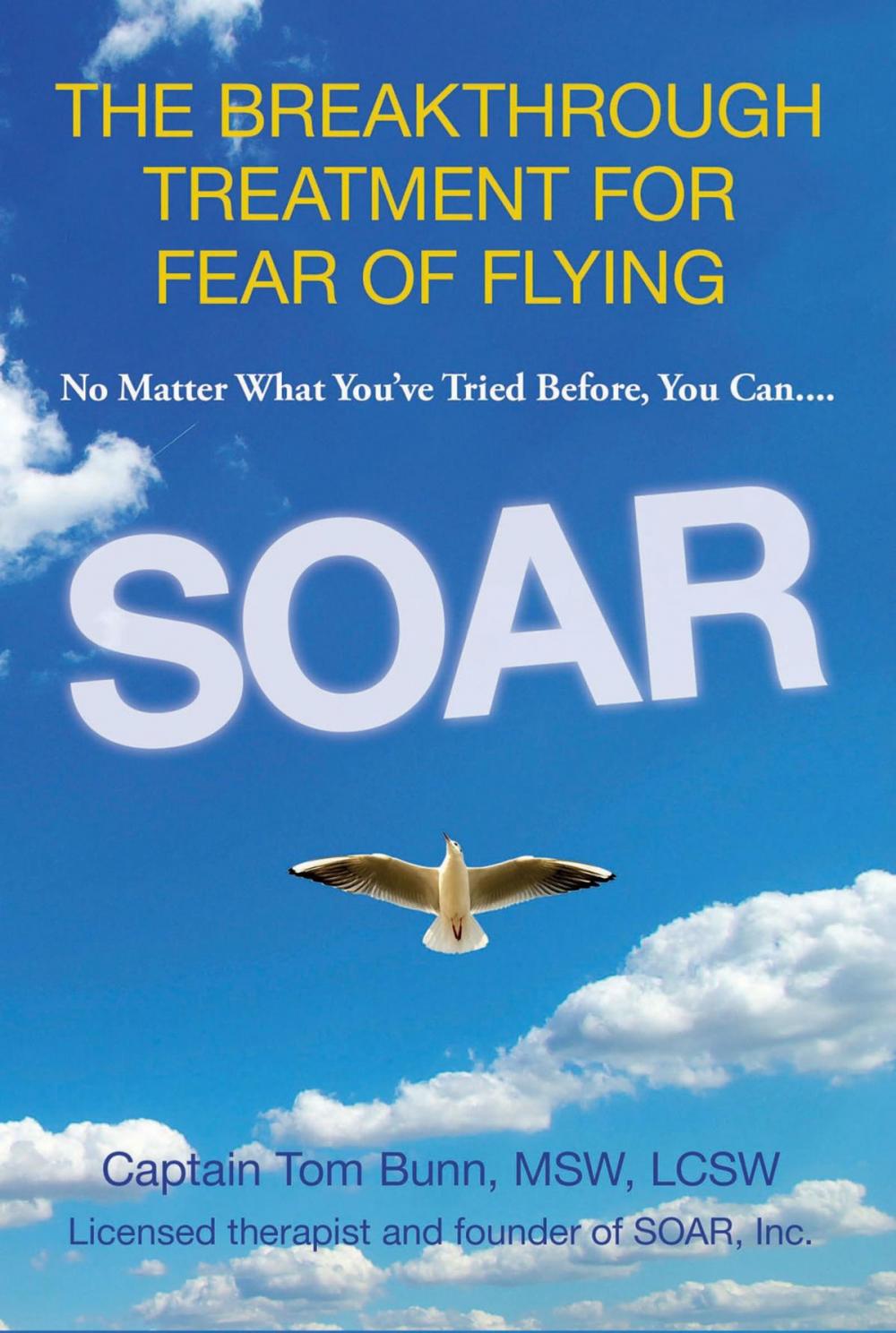 Big bigCover of Soar