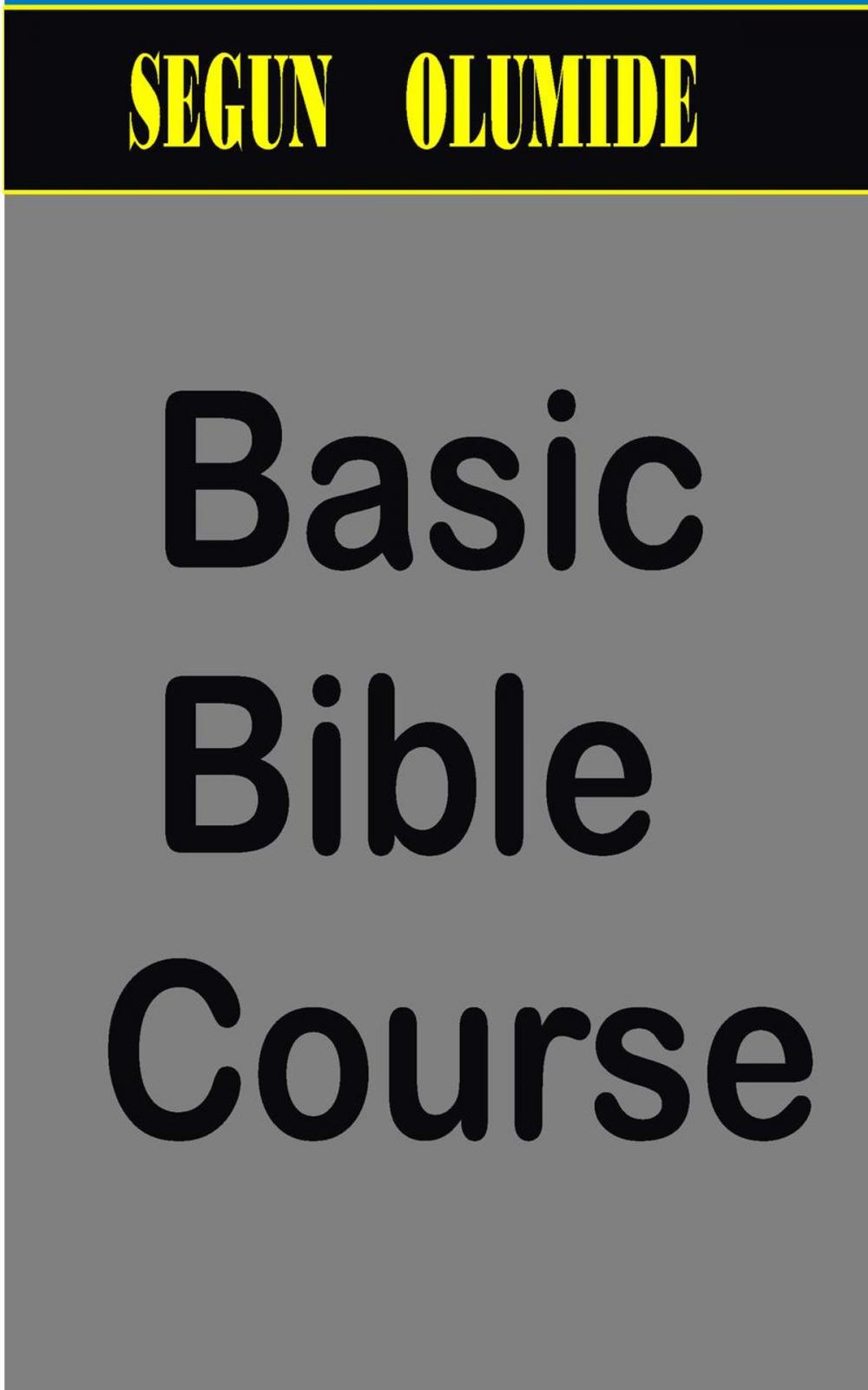 Big bigCover of Basic Bible Course