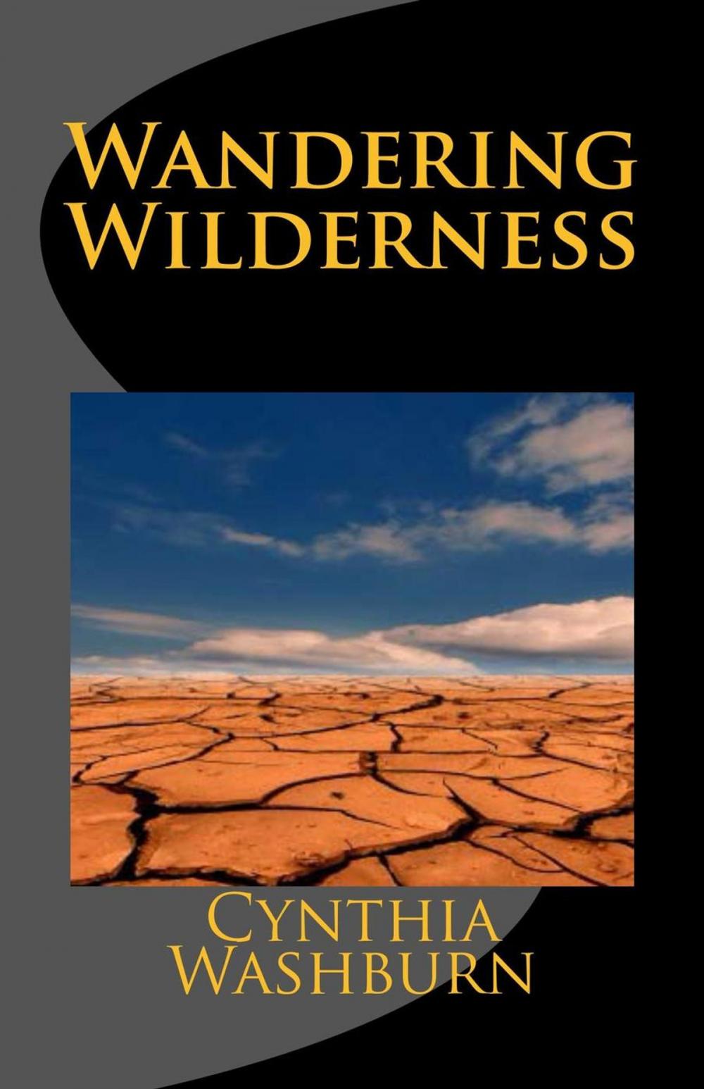 Big bigCover of Wandering Wilderness