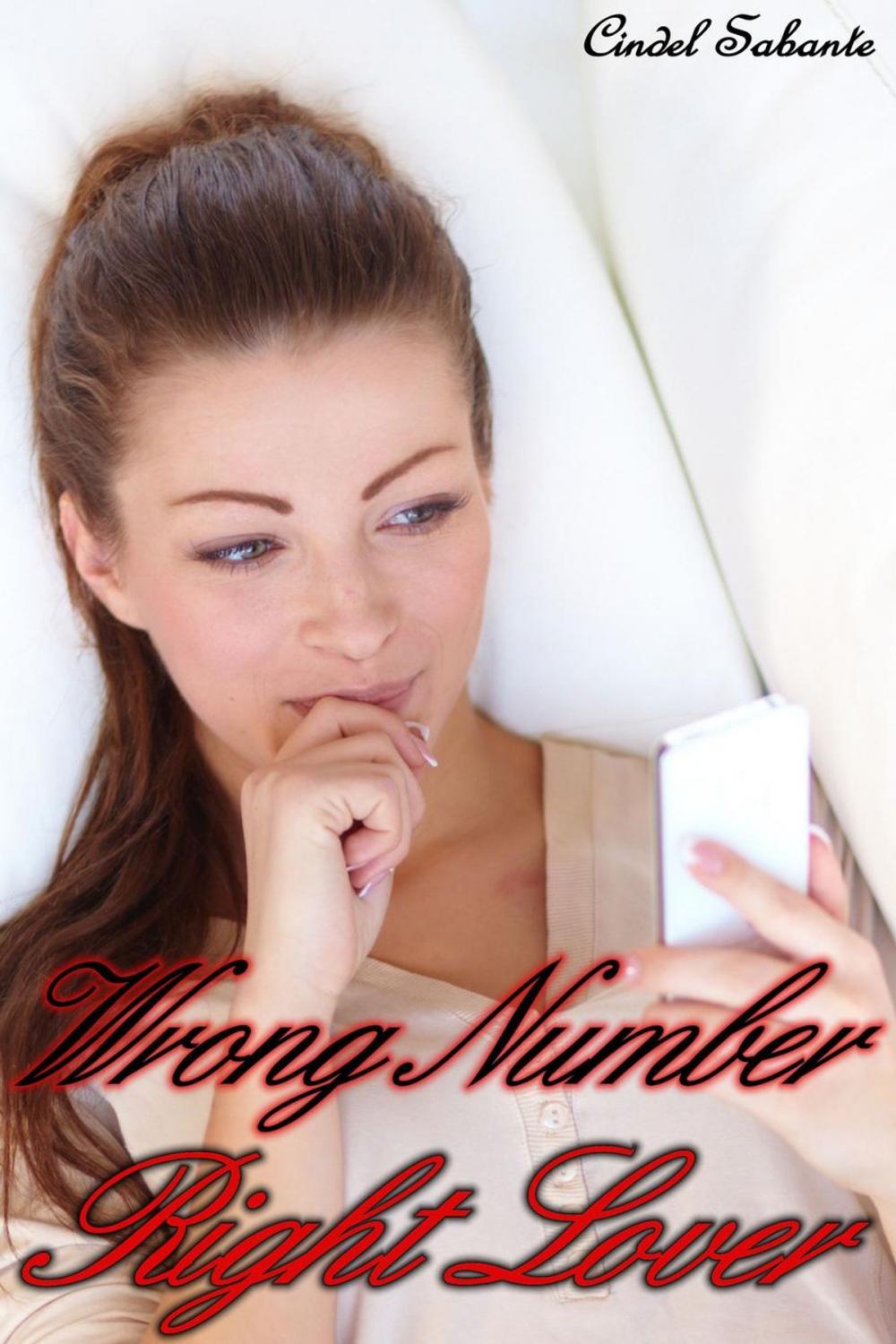 Big bigCover of Wrong Number, Right Lover