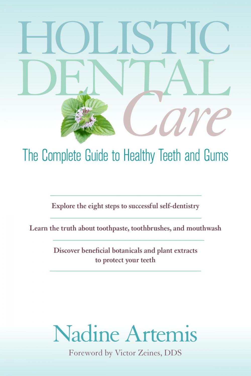 Big bigCover of Holistic Dental Care