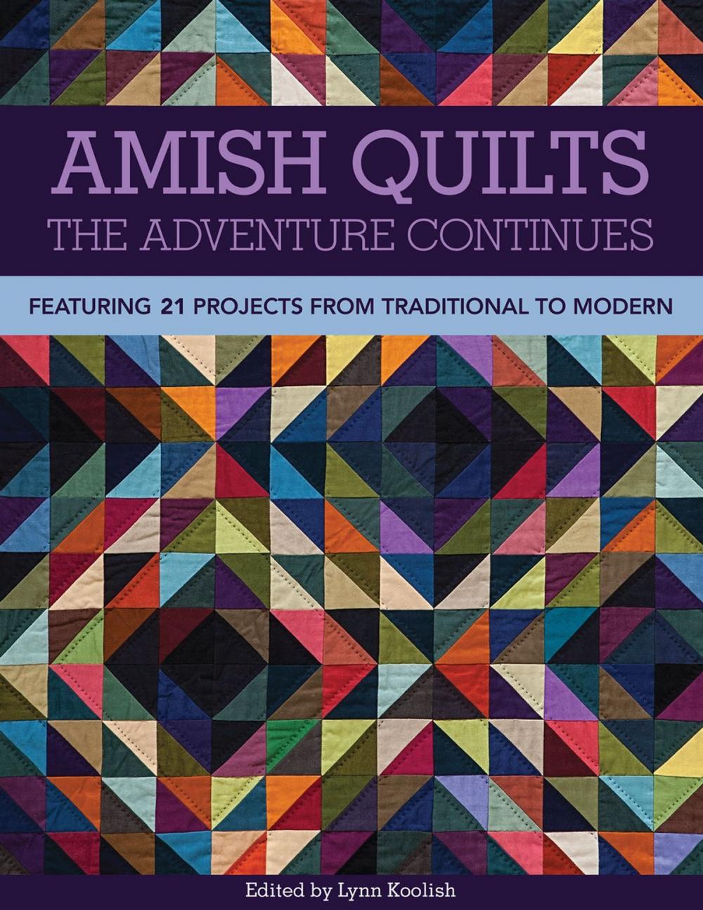 Big bigCover of Amish Quilts—The Adventure Continues