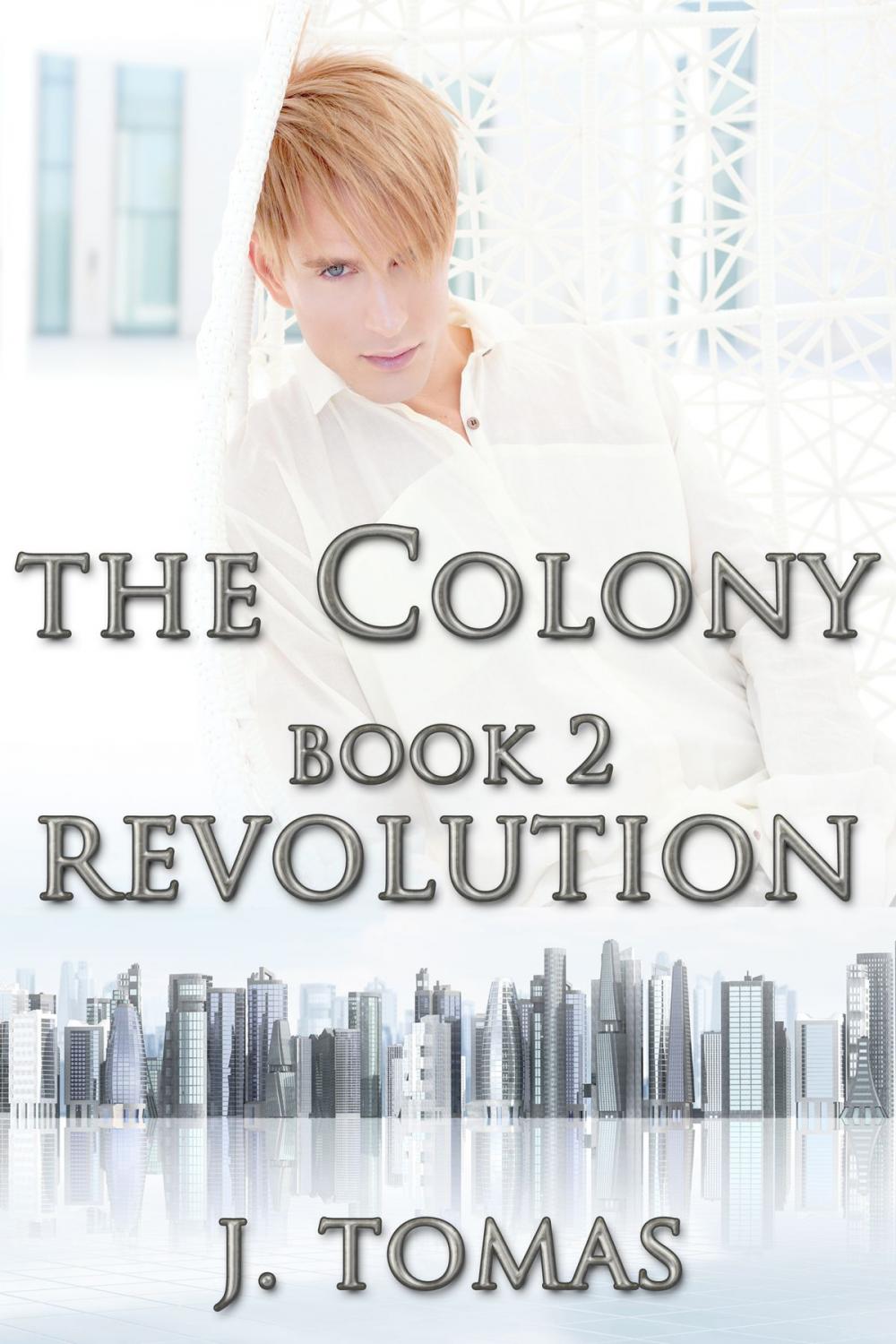 Big bigCover of The Colony Book 2: Revolution