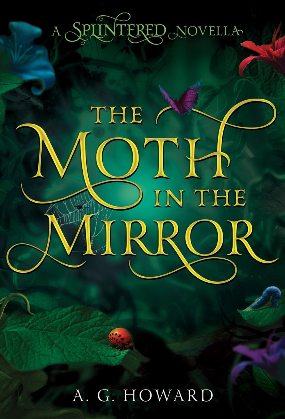 Big bigCover of The Moth in the Mirror