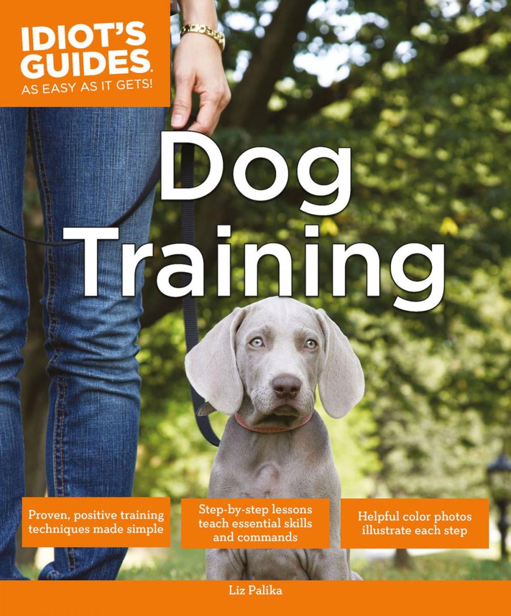 Big bigCover of Dog Training