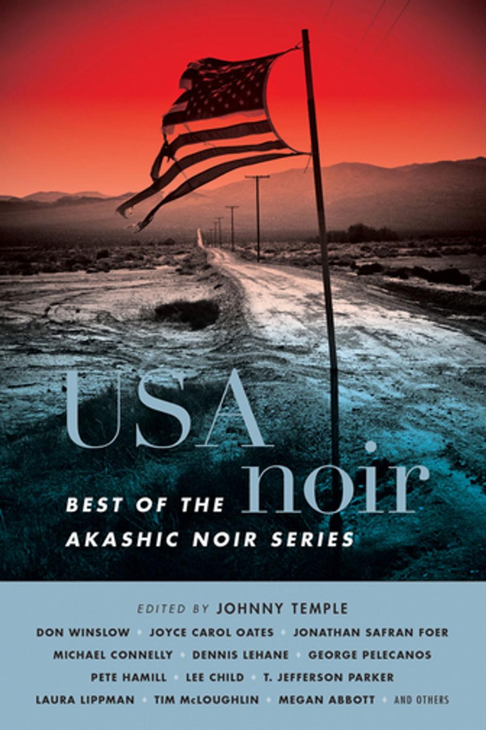 Big bigCover of USA Noir