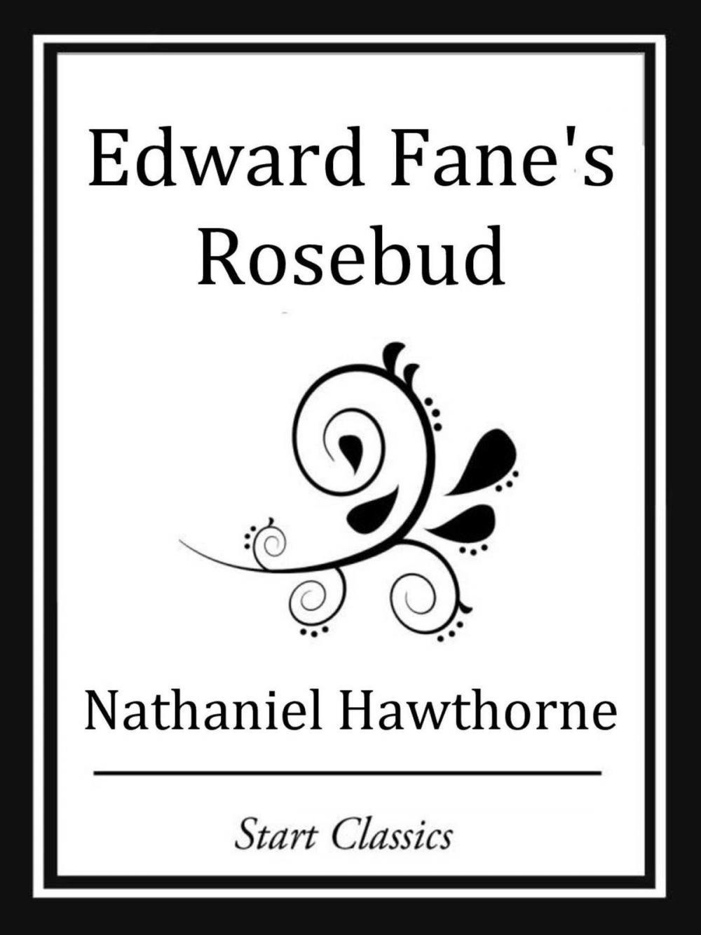 Big bigCover of Edward Fane's Rosebud