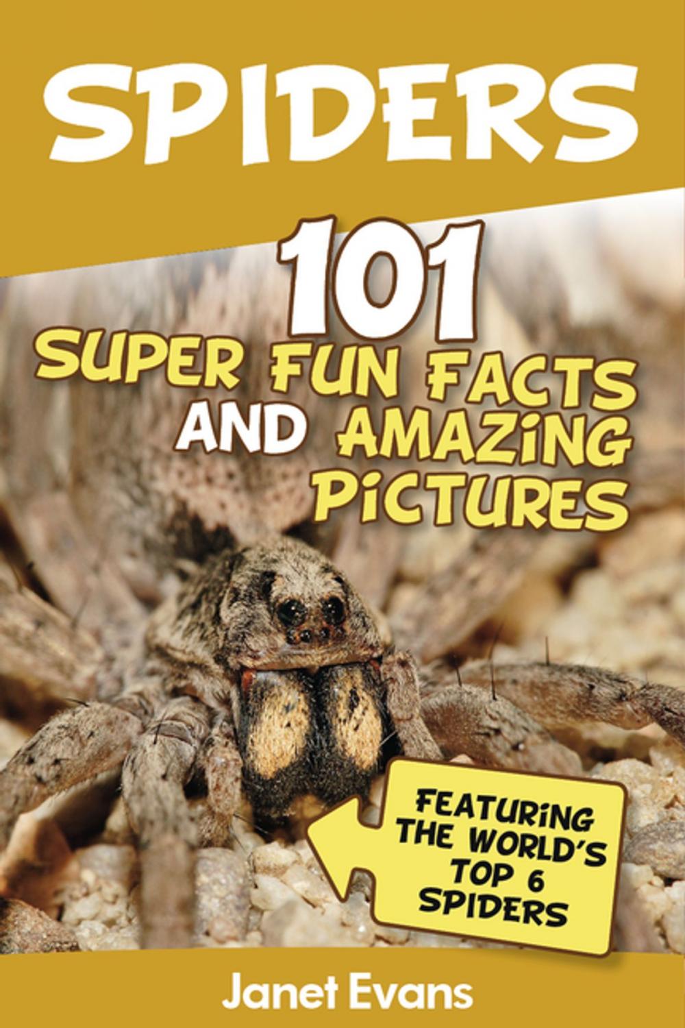 Big bigCover of Spiders:101 Fun Facts & Amazing Pictures ( Featuring The World's Top 6 Spiders)