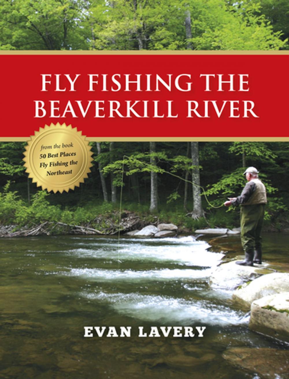 Big bigCover of Fly Fishing the Beaverkill River