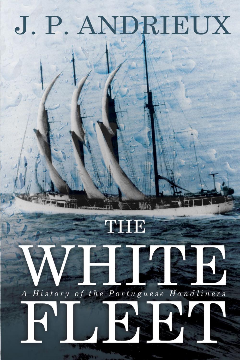 Big bigCover of The White Fleet