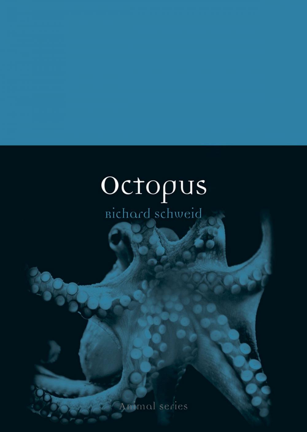 Big bigCover of Octopus