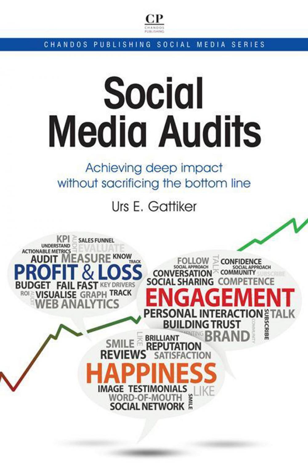 Big bigCover of Social Media Audits