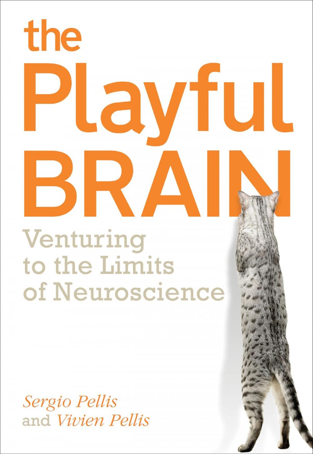 Big bigCover of The Playful Brain