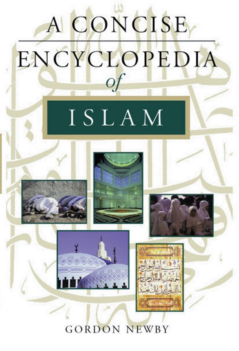 Big bigCover of A Concise Encyclopedia of Islam