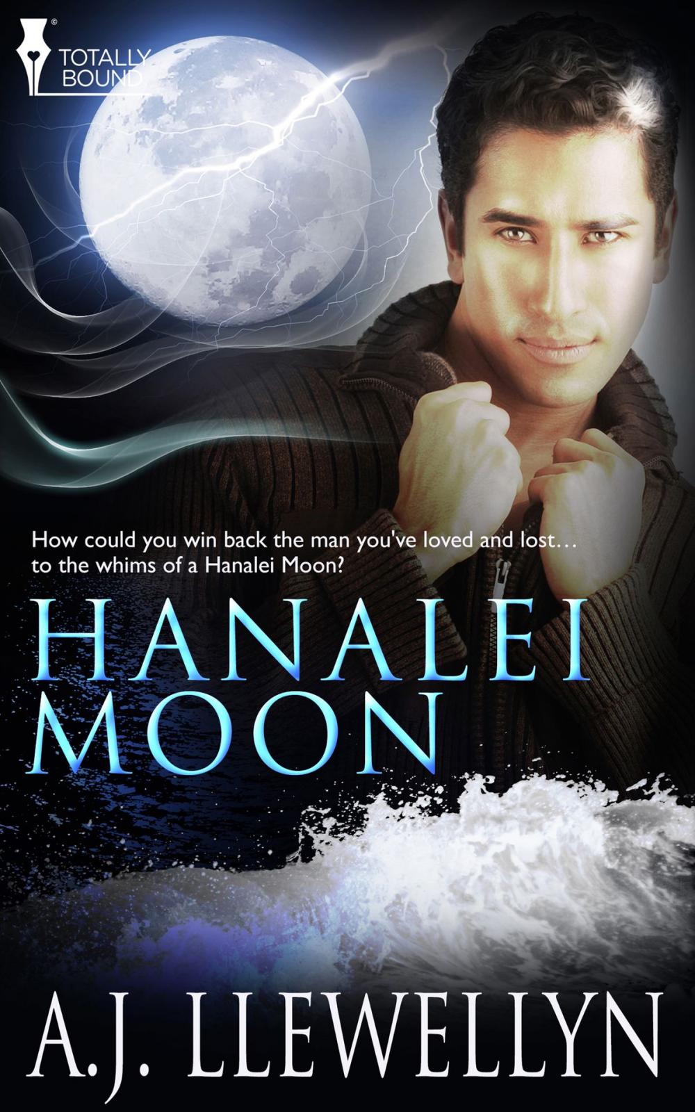 Big bigCover of Hanalei Moon