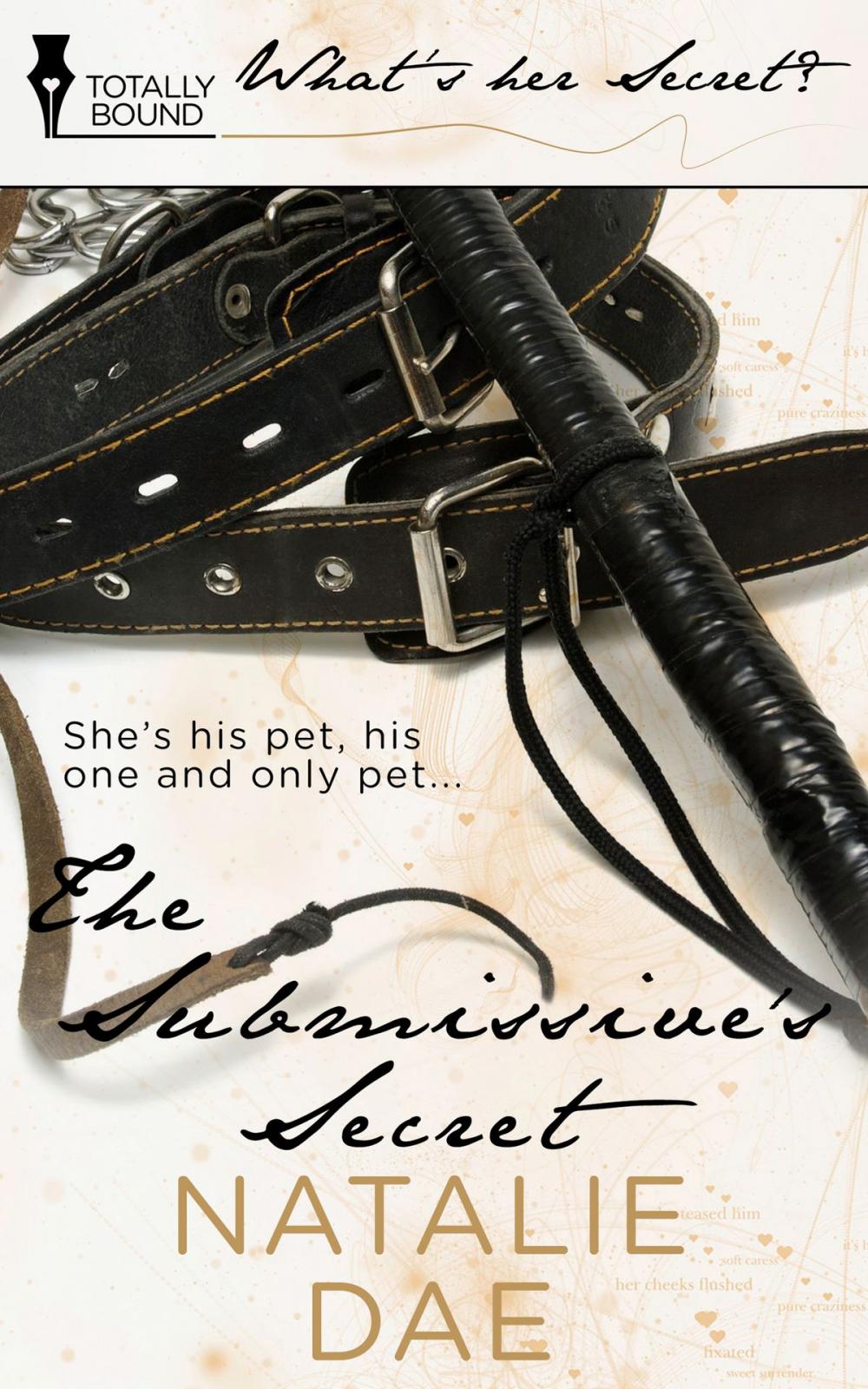 Big bigCover of The Submissive's Secret