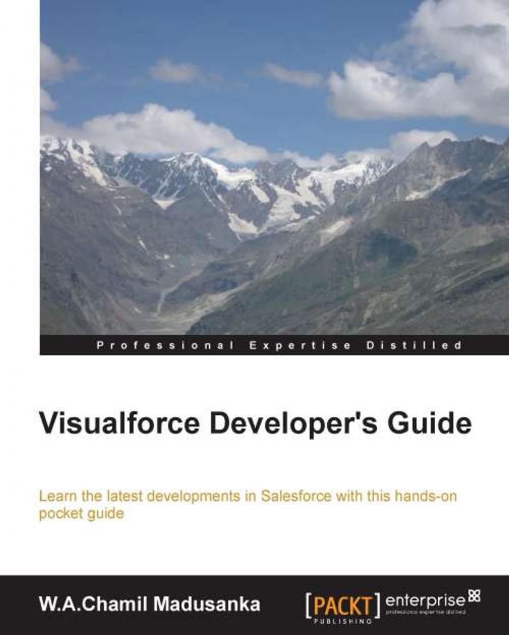 Big bigCover of Visualforce Developers Guide