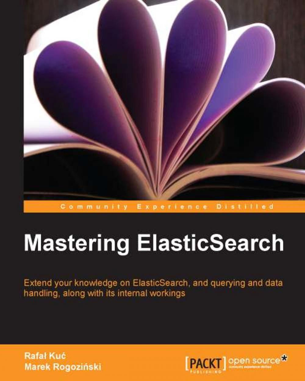 Big bigCover of Mastering ElasticSearch