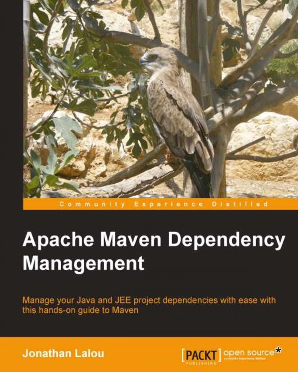 Big bigCover of Apache Maven Dependency Management